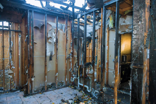 Professional Fire Damage Removal technician working in Paeonian Springs, VA