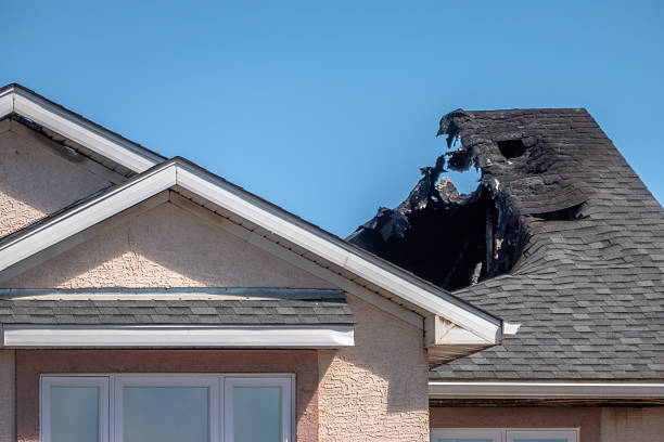 Top rated local Fire Damage Removal specialists in Paeonian Springs, VA